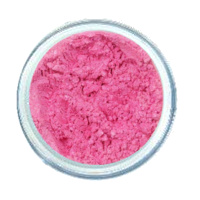 Screaming Pink Mineral Eye Dust